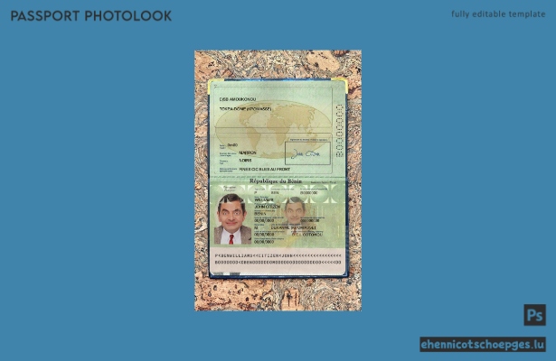 Beispielansicht für ein Passfoto aus Benin
